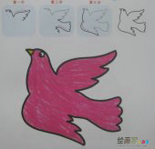 和平鸽简笔画：和平的花园