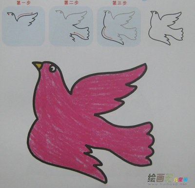 和平鸽简笔画