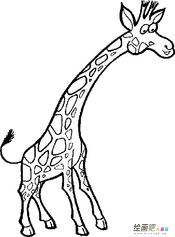 长颈鹿简笔画