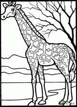 长颈鹿简笔画