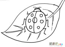 七星瓢虫简笔画：简笔画抽象化