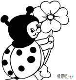 七星瓢虫简笔画：简笔画基础技法