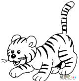 老虎简笔画：猫和老虎