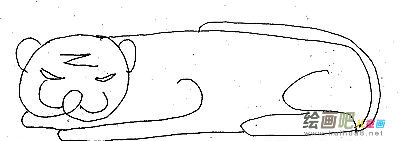 老虎简笔画