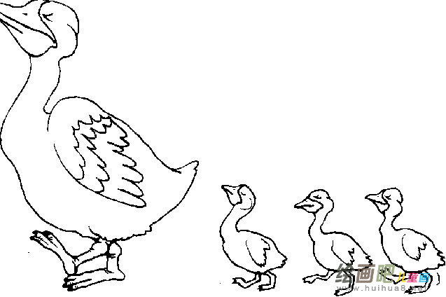 小鸭子简笔画