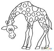 长颈鹿简笔画：关于长颈鹿的小故事