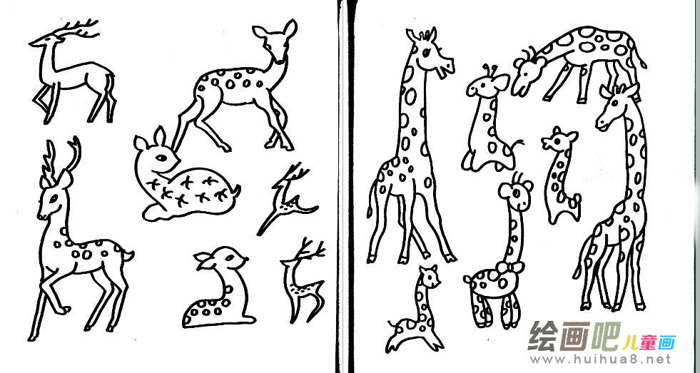 长颈鹿简笔画
