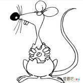 小老鼠简笔画：鼠的生长繁殖