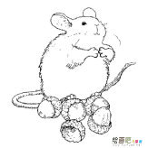 小老鼠简笔画：鼠的疾病传播