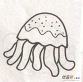 海洋生物简笔画：我国的海洋生物种类
