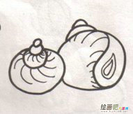 海洋生物简笔画：伟大的发现之旅