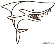 海洋生物简笔画：横行的暴徒——虎鲸