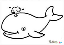 海洋生物简笔画：有牙的鲸——齿鲸