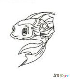海洋生物简笔画：深海打捞员——海狮
