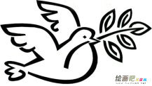 和平鸽简笔画：关于和平鸽