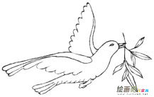 和平鸽简笔画：和平的象征
