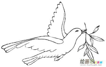 和平鸽的简笔画