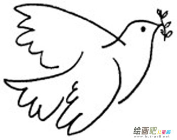 和平鸽的简笔画