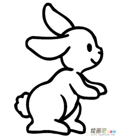 兔子