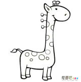 长颈鹿简笔画：长颈鹿简介
