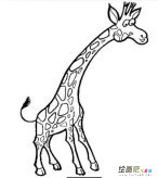 长颈鹿简笔画：出众的脖子
