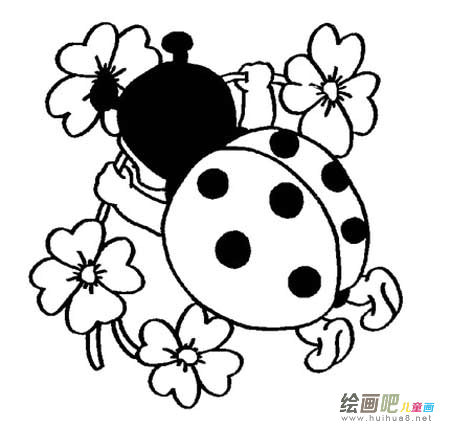 七星瓢虫