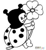 七星瓢虫简笔画：七星瓢虫的活动场所