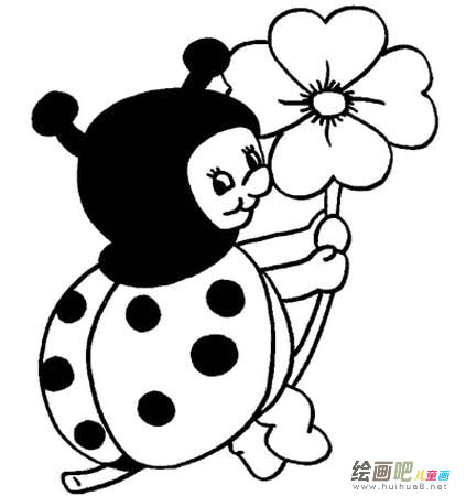 七星瓢虫