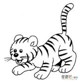 老虎简笔画：虎的简介