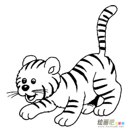 虎