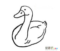 小鸭子简笔画：鸭子简介