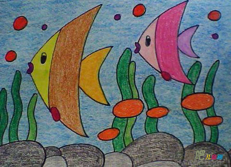 海洋生物