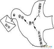 和平鸽简笔画：鸽子象征意义的变换