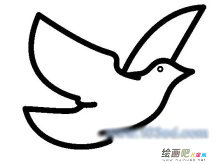 和平鸽简笔画：爱情之鸽
