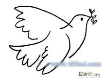 和平鸽简笔画：圣经里的和平鸽