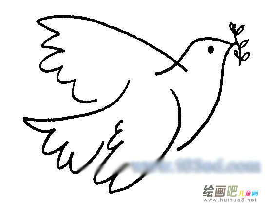 和平鸽简笔画