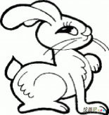 兔子简笔画：兔子的神话故事