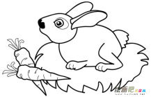 兔子简笔画：兔子的红眼睛