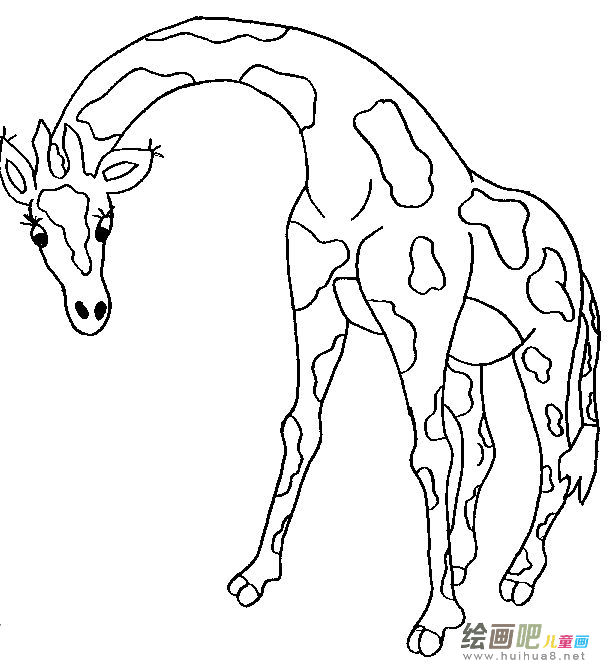 长颈鹿简笔画