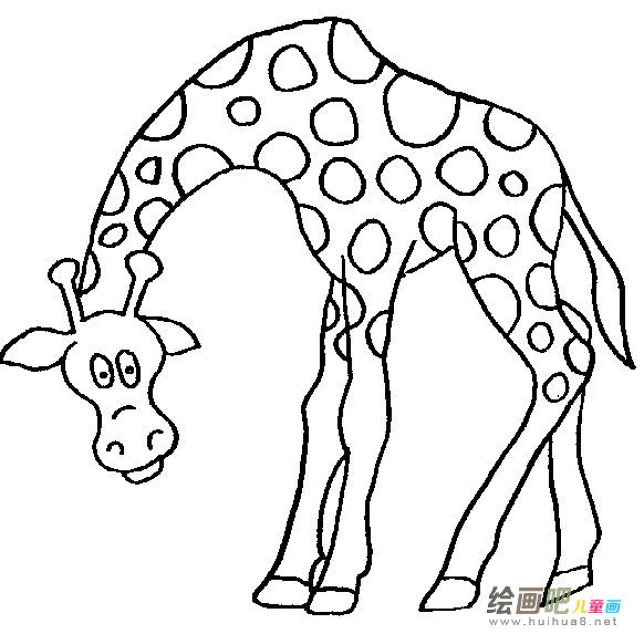 长颈鹿简笔画