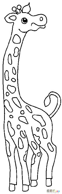 长颈鹿简笔画