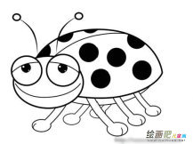 七星瓢虫简笔画：瓢虫的武器