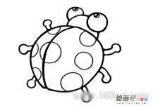 七星瓢虫简笔画：瓢虫的秘密