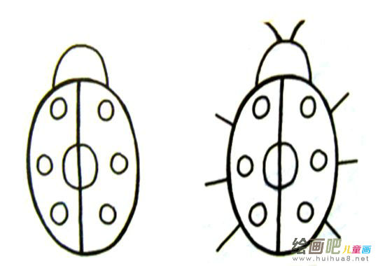 七星瓢虫简笔画