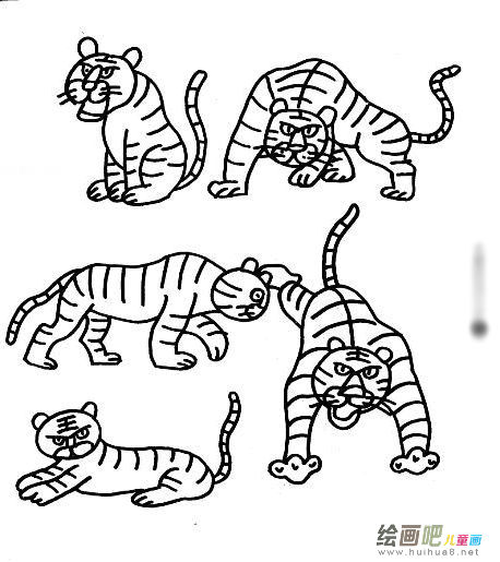 老虎简笔画