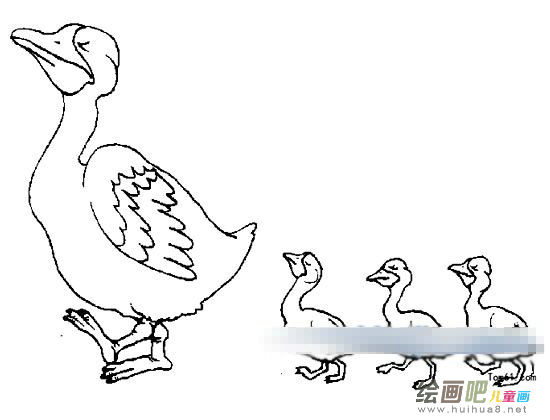 小鸭子简笔画