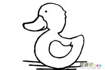 小鸭子简笔画：鸭的体型