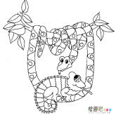 蛇的简笔画：蛇的消化
