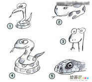蛇的简笔画：西方蛇文化