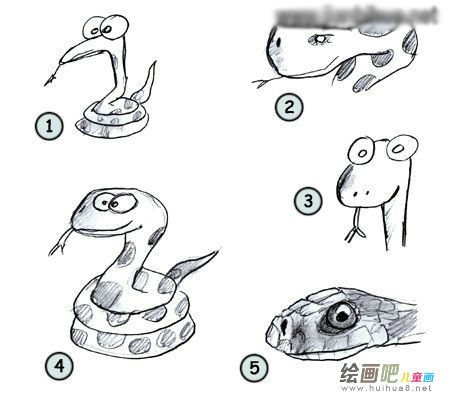 蛇的简笔画